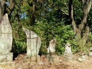 長柄神社の写真2