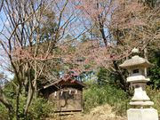 長柄神社の写真3