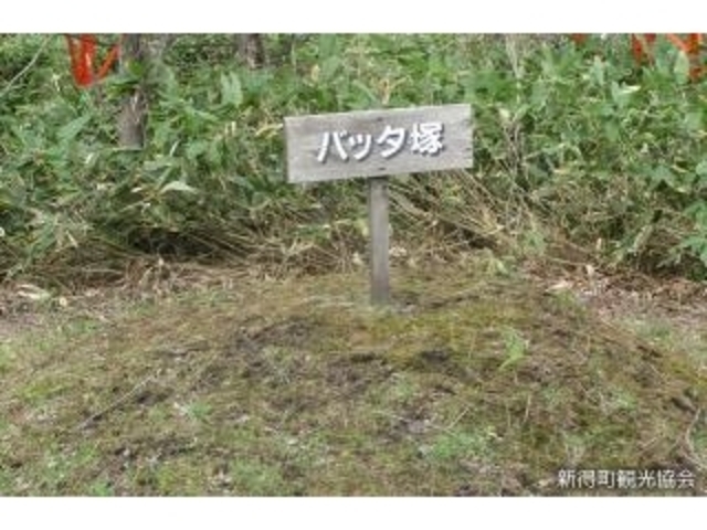 バッタ塚の写真1