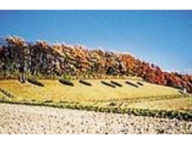 日の出山瓦窯跡群の写真1