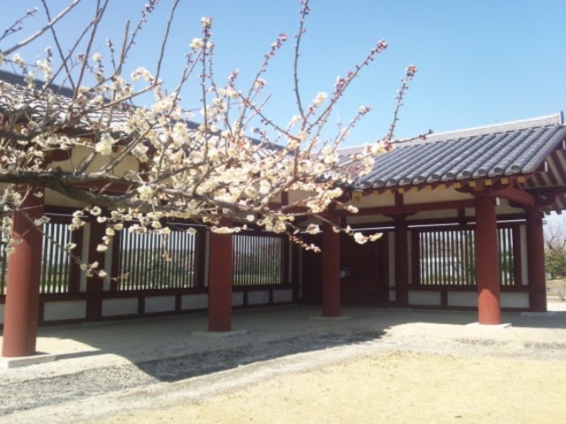 下野薬師寺跡_下野薬師寺跡
