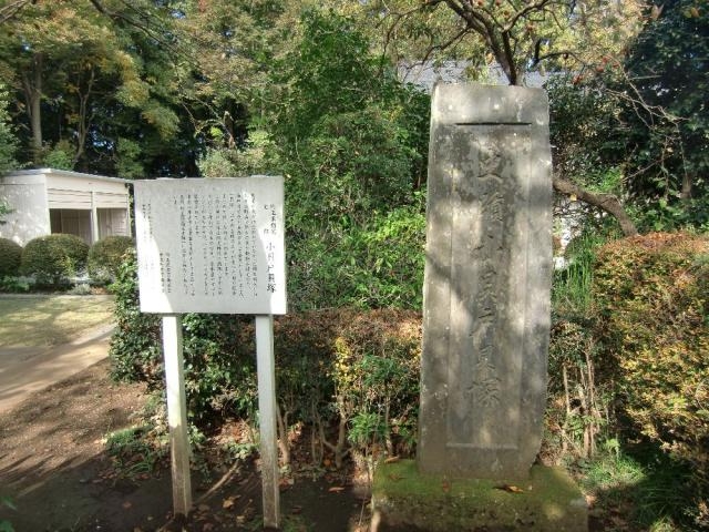 小貝戸貝塚