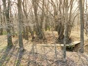 アオシマナイ遺跡の写真1