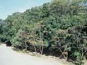 史跡飯野坂古墳群の写真1