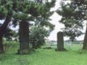 菜切谷廃寺跡の写真1