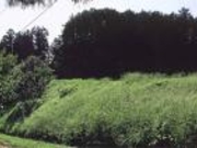 平田原貝塚の写真2