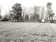 雷電塚古墳の写真1