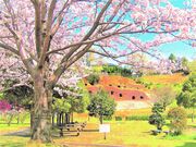 柏谷横穴群の写真1