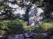 弓木城跡の写真2