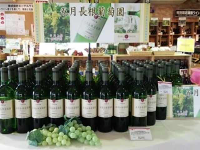 ワインシャトー大迫の写真1