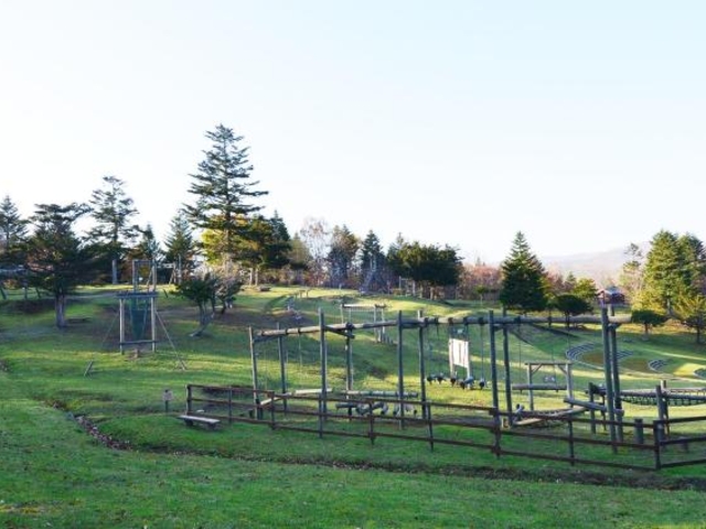 アスレチック_緑のふるさと森林公園