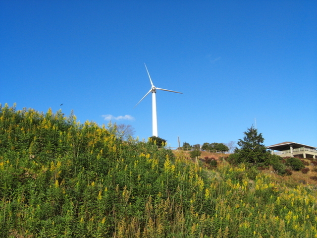 山茶花高原ピクニックパーク・ハーブ園の写真1