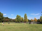 御所湖広域公園の写真1