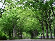 九頭竜国民休養地の写真1