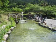 奥伊勢フォレストピアの写真4