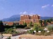 いぶき薬草湯の写真3