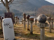 丹波伝統工芸公園 立杭 陶の郷の写真3