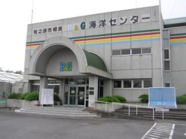 牧之原市B&G海洋センターの写真1