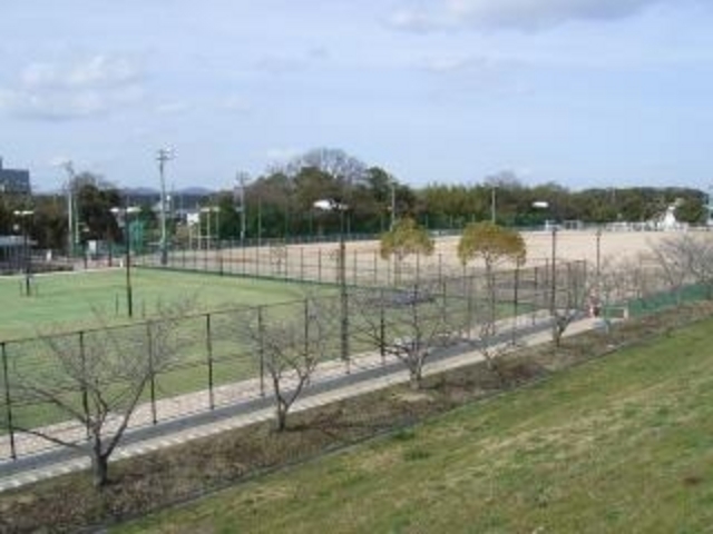 河合運動広場の写真1