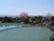 ハイジアパーク南陽の写真2