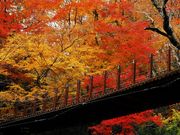 花貫ふるさと自然公園センターの写真2