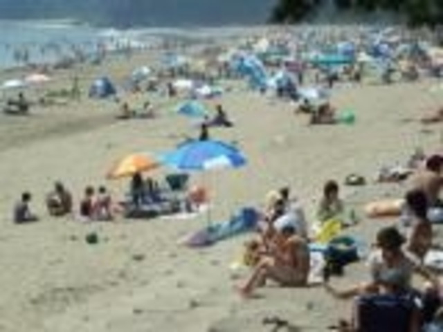 大谷海水浴場の写真1