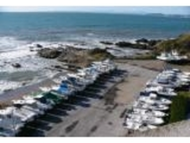 金谷マリーナの写真1