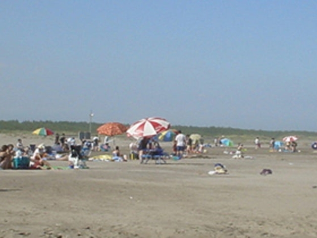 白幡・井之内海水浴場の写真1