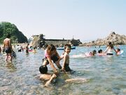 舟渡海水浴場の写真1