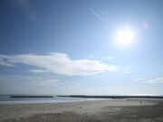 荒浜海水浴場の写真1