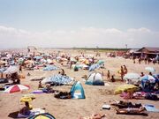 殿下海水浴場の写真1