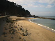 板貝海水浴場の写真2