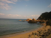 板貝海水浴場の写真3