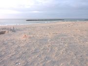小舞子海水浴場の写真1