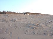 小舞子海水浴場の写真3