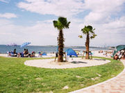 大野海水浴場の写真1