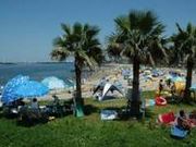 大野海水浴場の写真2