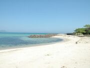 大崎海水浴場の写真1