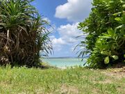 池治海水浴場の写真1