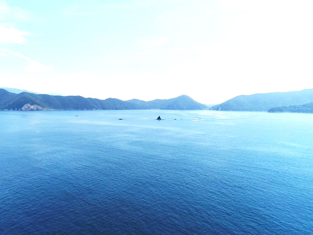 リアス式海岸の湾内には沢山の魚が集まります_西海観光船