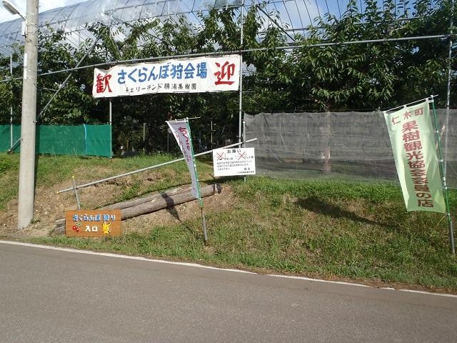 勝浦果樹園の写真1