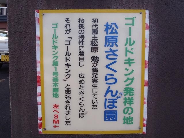 松原さくらんぼ園の写真1