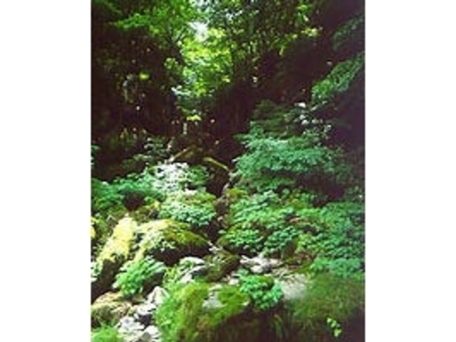 砂鉄川