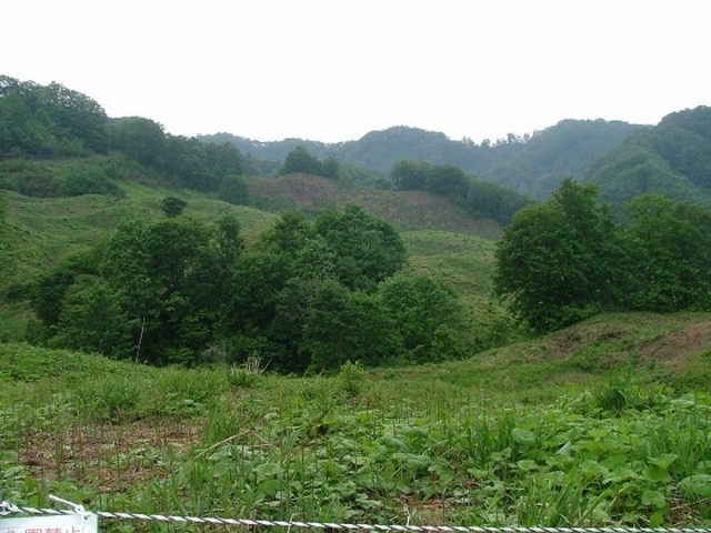 白川わらび園_白川わらび園