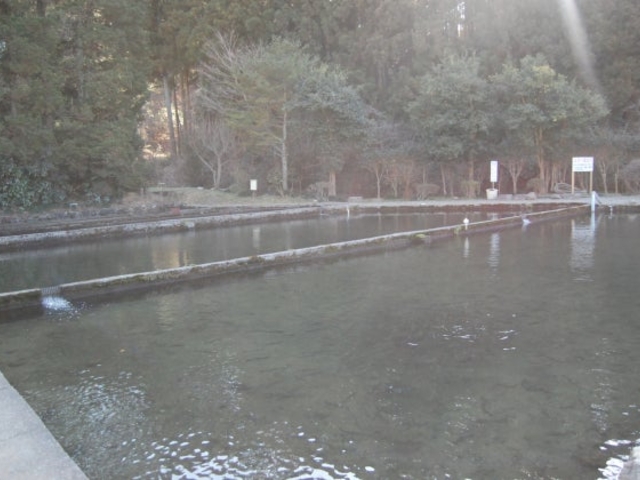 大川戸釣り堀_大川戸つり堀