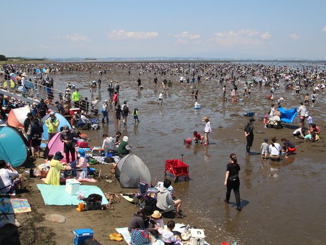 富津海岸潮干狩り_富津海岸潮干狩場