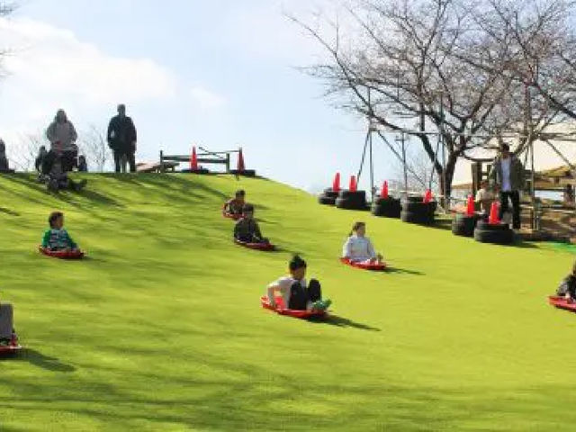 ある意味一番人気?無料の芝すべりは、緩い傾斜で小さなお子さまに大人気!_成田ゆめ牧場