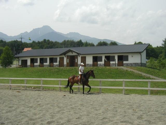 谷口牧場の写真1