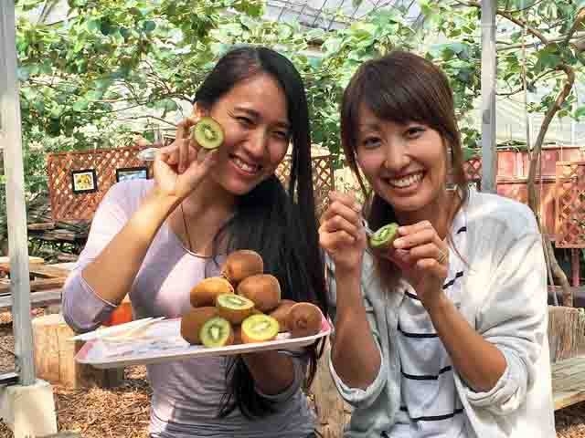 キウイ食べ放題_キウイフルーツカントリーJapan