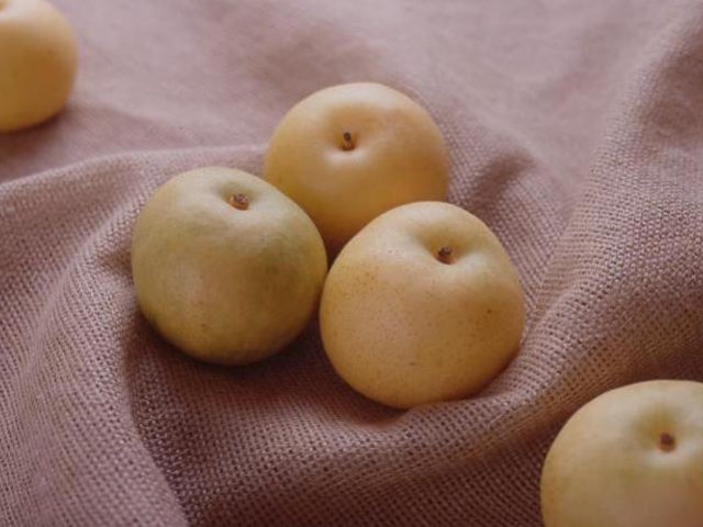 梨の果実_大阿太高原梨園